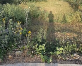 Land For Sale in Jagatpura