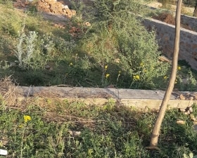 Plot For Sale in Jagatpura