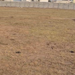   Land at Julkal – for Sale