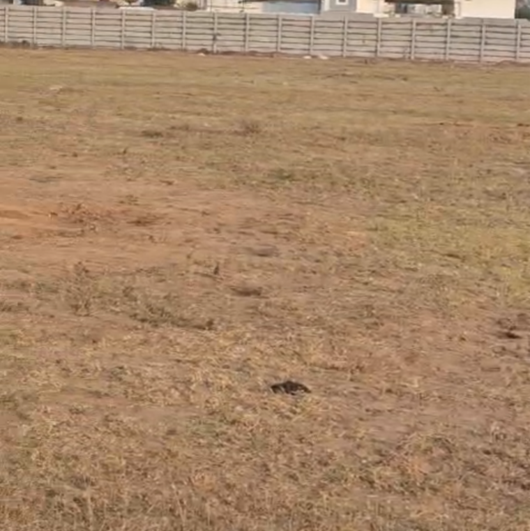 undefined, julkal Commercial Land 5 Acre In Julkal Hyderabad 8425713