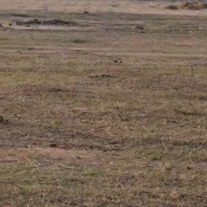 Plot Area in  Land at Julkal – for Sale