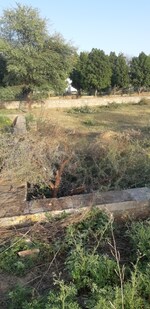 267 Sq.Yd. Plot in Mahal Road