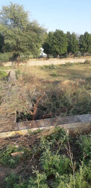  Plot For Sale in Mahal Road