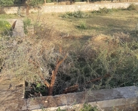 Plot For Sale in Mahal Road