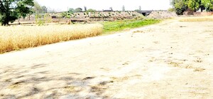  Plot – Exterior View View at Betiahata - for Sale