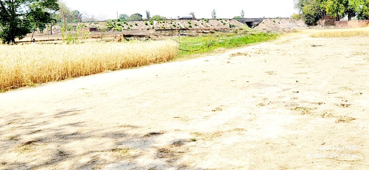 Exterior View, betiahata  1000 Sq.Ft. Plot In Betiahata Gorakhpur 8425999