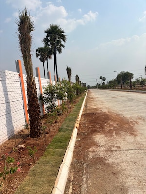  Plot – Exterior View View at CS Residency Cheeriyal, Cheeriyal - for Sale