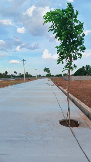  Plot – Exterior View View at Trichy Madurai Road - for Sale