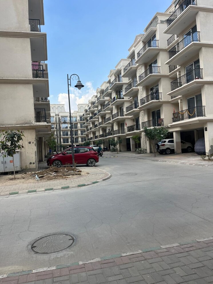 Exterior View, signature-global-park 3 Bedroom 1119 Sq.Ft. Builder Floor In Sohna Sector 36 Gurgaon 8426380