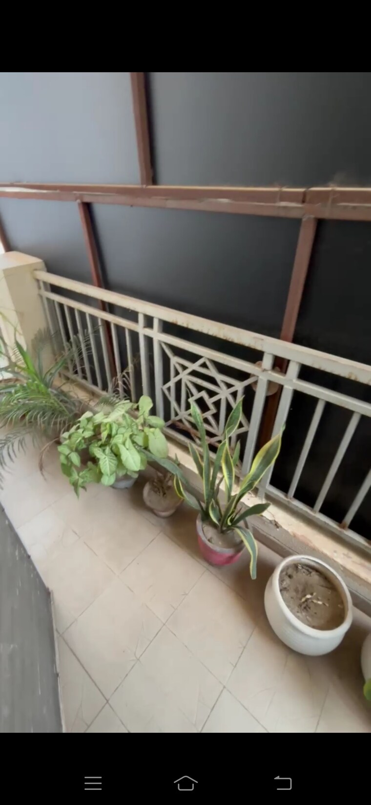 Balcony, bptp-park-elite-floors 4 Bedroom 300 Sq.Yd. Builder Floor In Sector 85 Faridabad 8426652