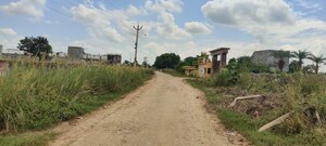 Plot Area in  Plot at Touchwood The Woods Naubasta, Naubasta Kala – for Sale