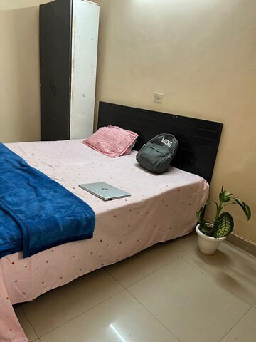3 BHK Builder Floor For Rent in Sector 19