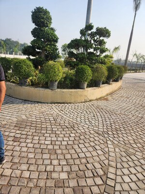  Plot – Exterior View View at Baraulikhalilabad - for Sale