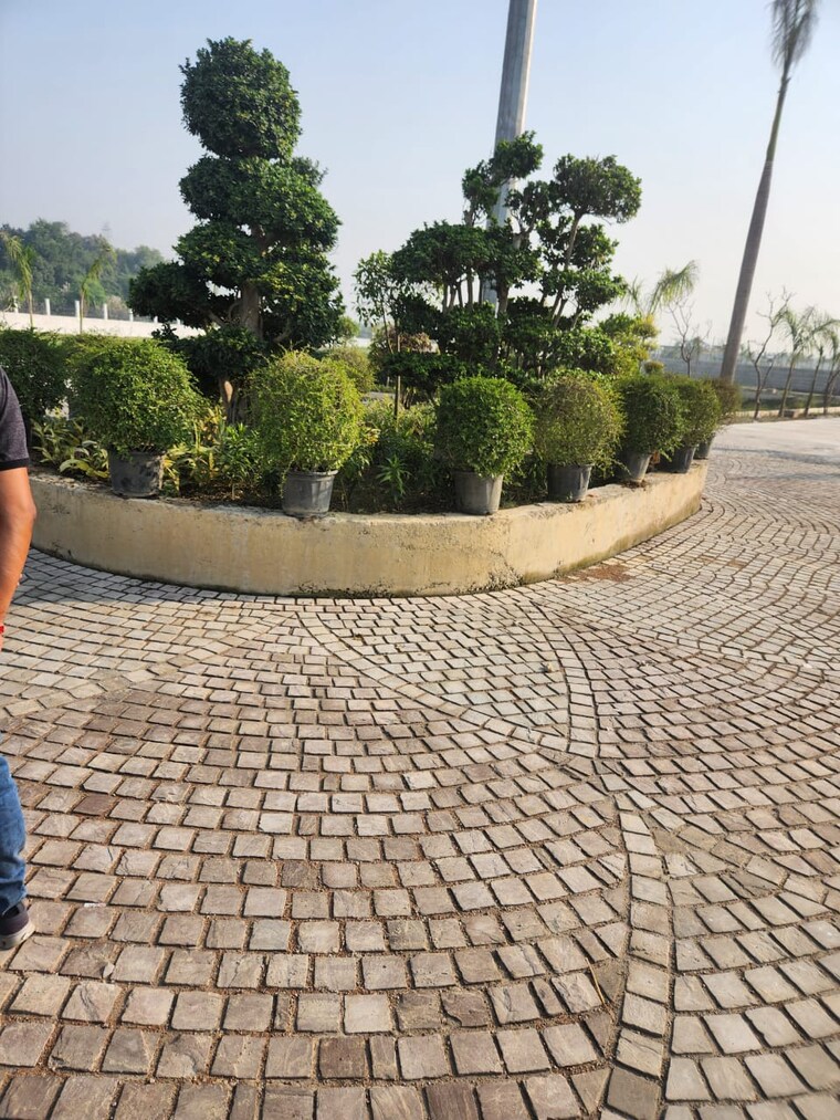 Exterior View, baraulikhalilabad  1005 Sq.Ft. Plot In Baraulikhalilabad Lucknow 8427359