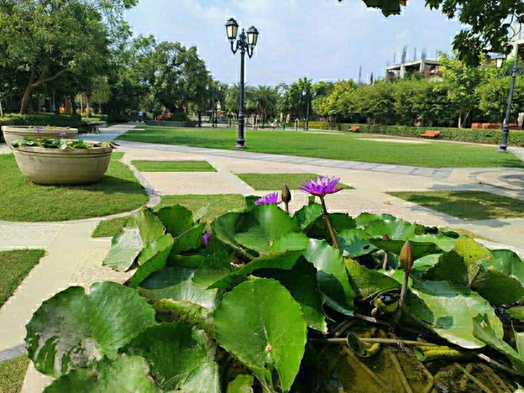 Garden, omaxe-metro-city  1741 Sq.Ft. Plot In Kalli Paschim Lucknow 8427563