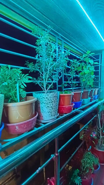 Balcony in 2 BHK Apartment at Behala – for Sale