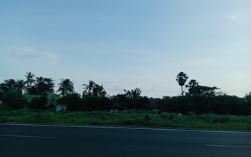Land For Sale in Sea Beach