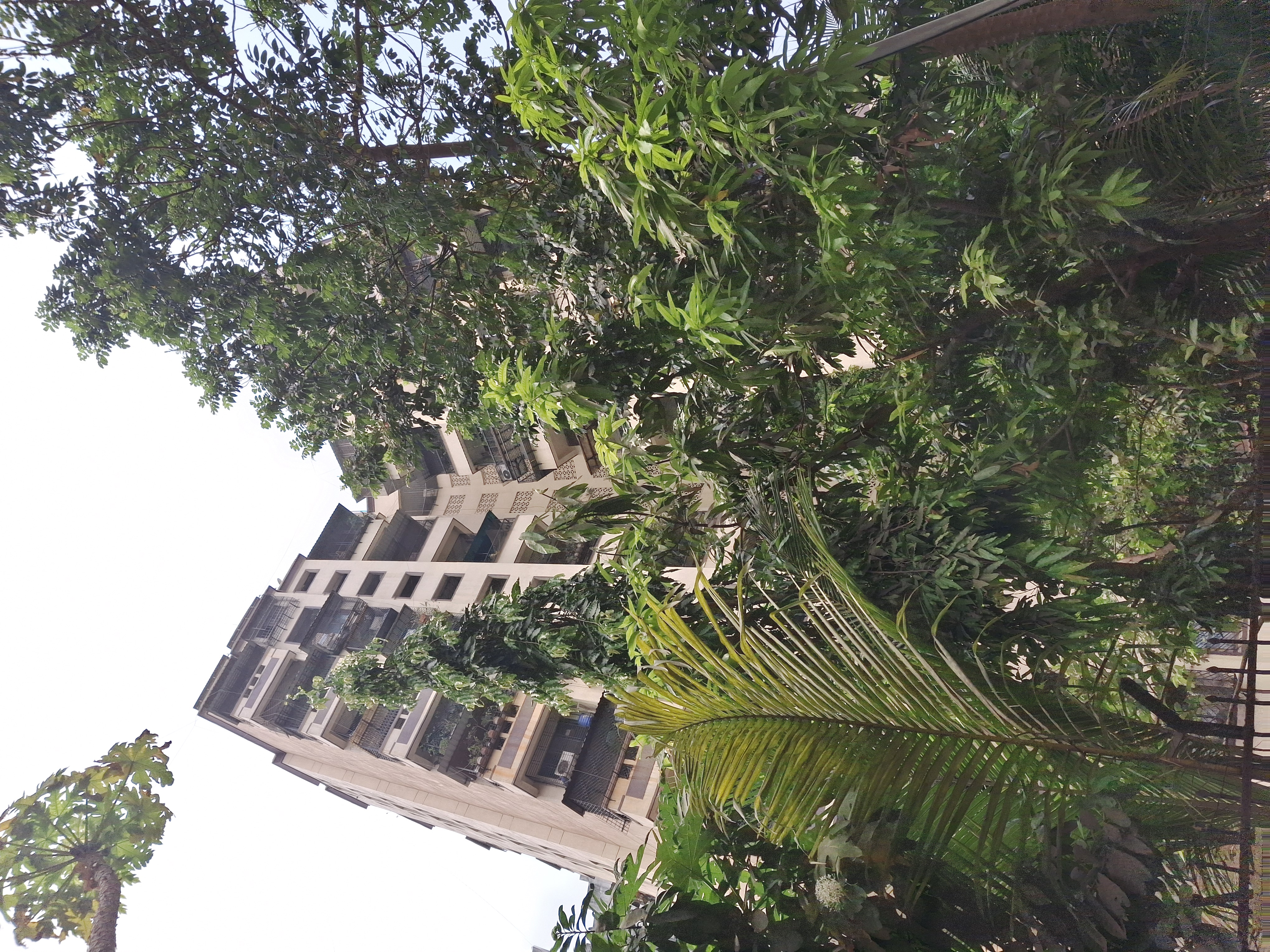 2 BHK Apartment For Rent in Ramchandra Nivas