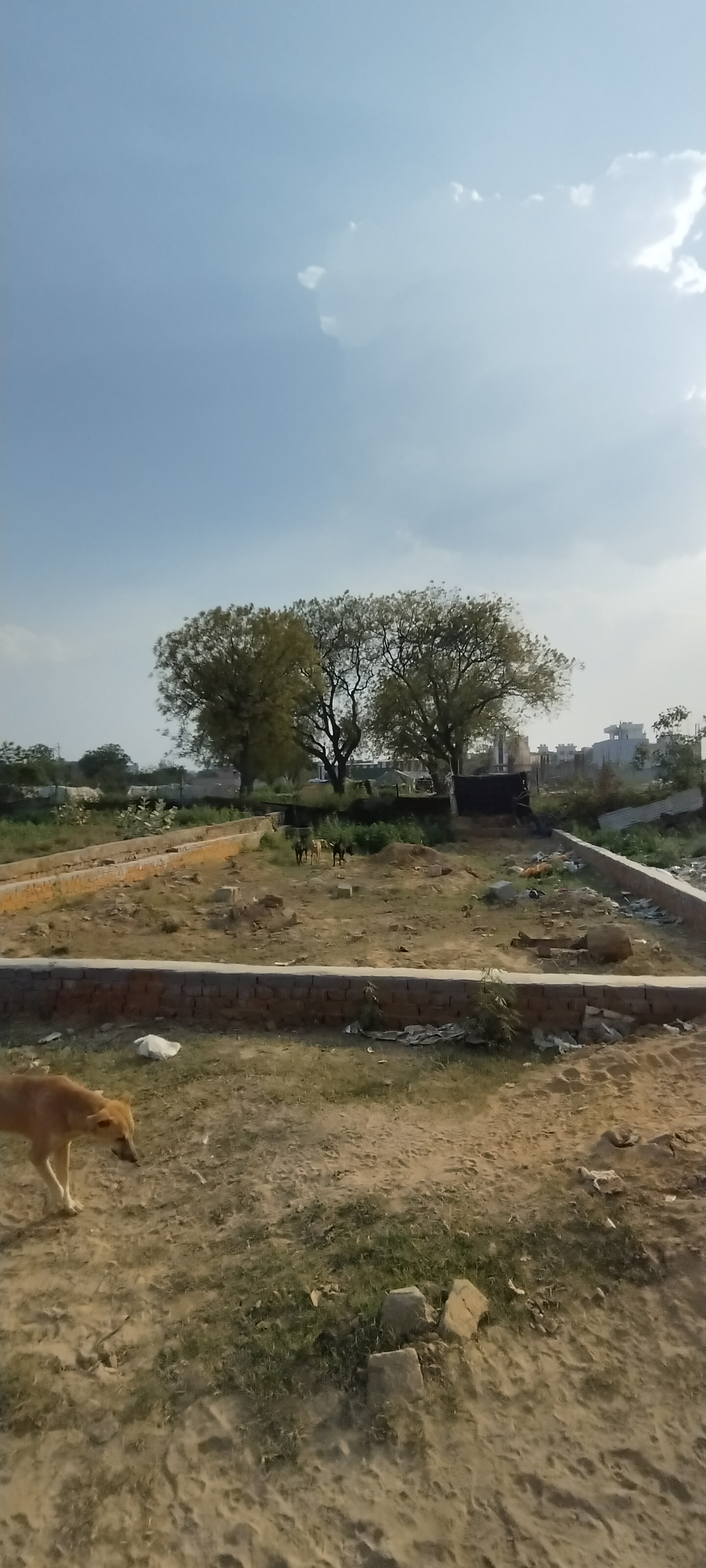 Plot For Sale in Jaipurai Sunrise Green 