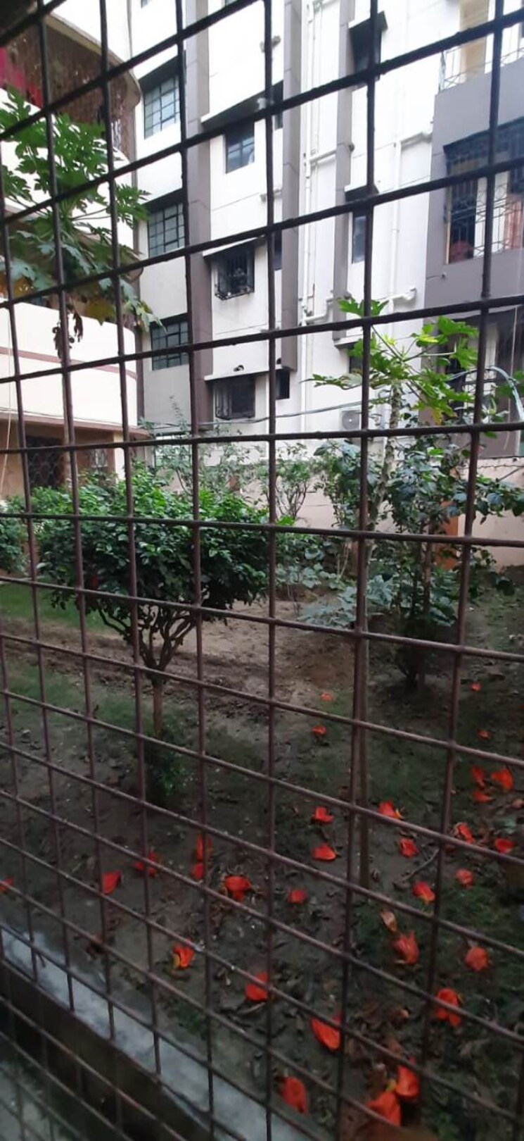 Balcony, tollygunge 6+ Bedroom 3800 Sq.Ft. Independent House In Tollygunge Kolkata 8428672