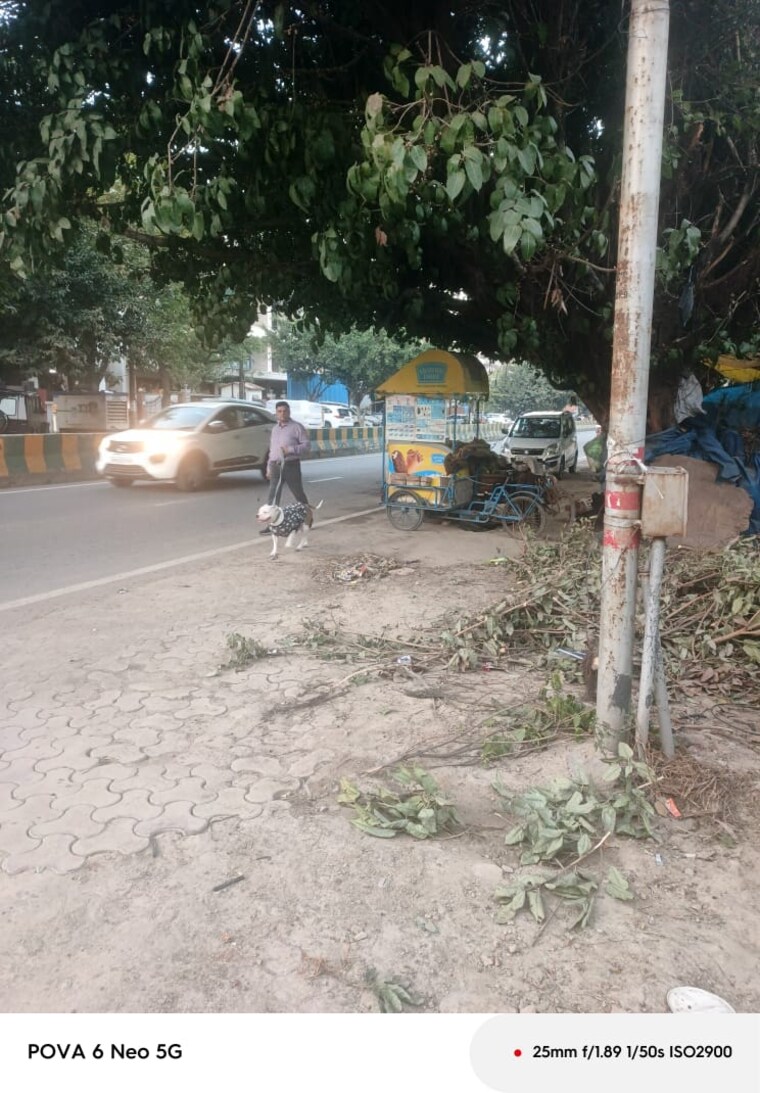 Exterior View, raj nagar extension  260 Sq.Yd. Plot In Raj Nagar Extension Ghaziabad 8428797