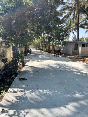  Plot – Exterior View View at Rayasandra - for Sale