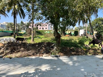  Plot For Sale in Rayasandra