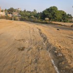 770 Sq.Yd. Plot in Unitech Rodeo Drive