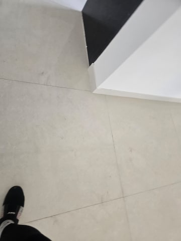 1 BHK Apartment For Rent in Conwood Astoria, Goregaon East