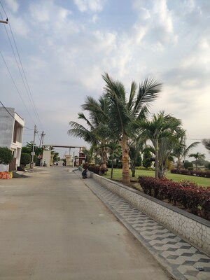  Plot – Exterior View View at Magarkheda - for Sale