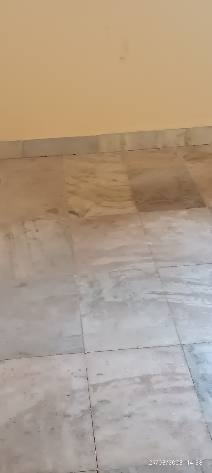 Room, juinagar 1 Bedroom 550 Sq.Ft. Apartment In Juinagar Navi Mumbai 8429534