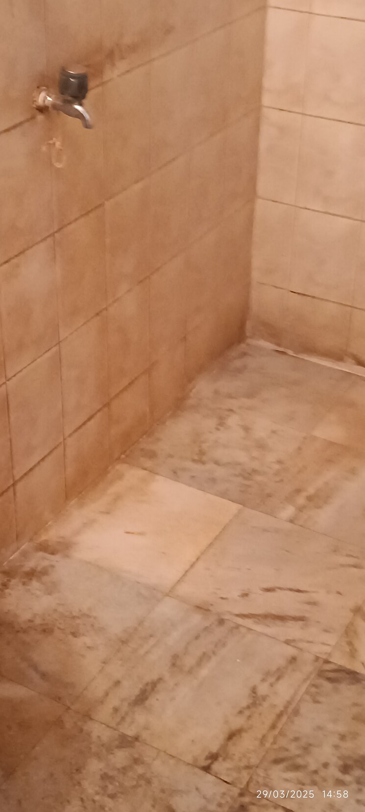 Bathroom, juinagar 1 Bedroom 550 Sq.Ft. Apartment In Juinagar Navi Mumbai 8429534