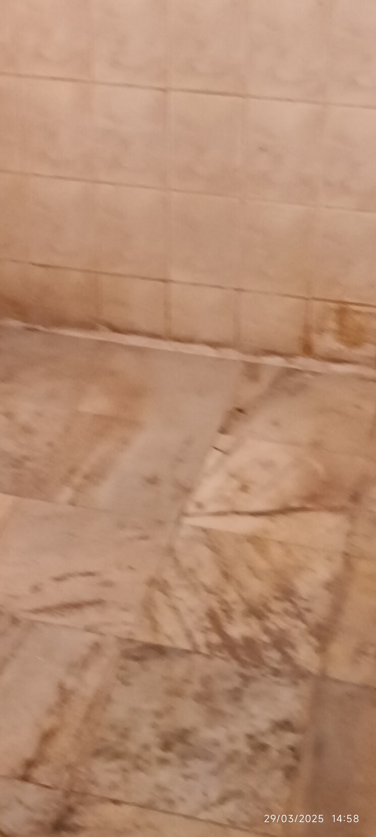 Bathroom, juinagar 1 Bedroom 550 Sq.Ft. Apartment In Juinagar Navi Mumbai 8429534