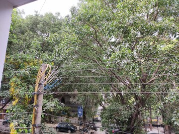 3 BHK Builder Floor – Garden View at Greater Kailash I - for Rent