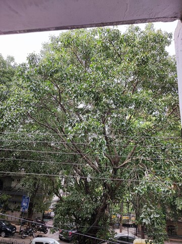 3 BHK Builder Floor – Garden View at Greater Kailash I - for Rent