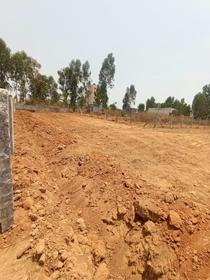  Plot – Exterior View View at Nirmal Nagar Layout, Bukkasagara - for Sale