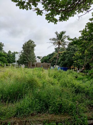  Plot – Exterior View View at Nirmal Nagar Layout, Bukkasagara - for Sale