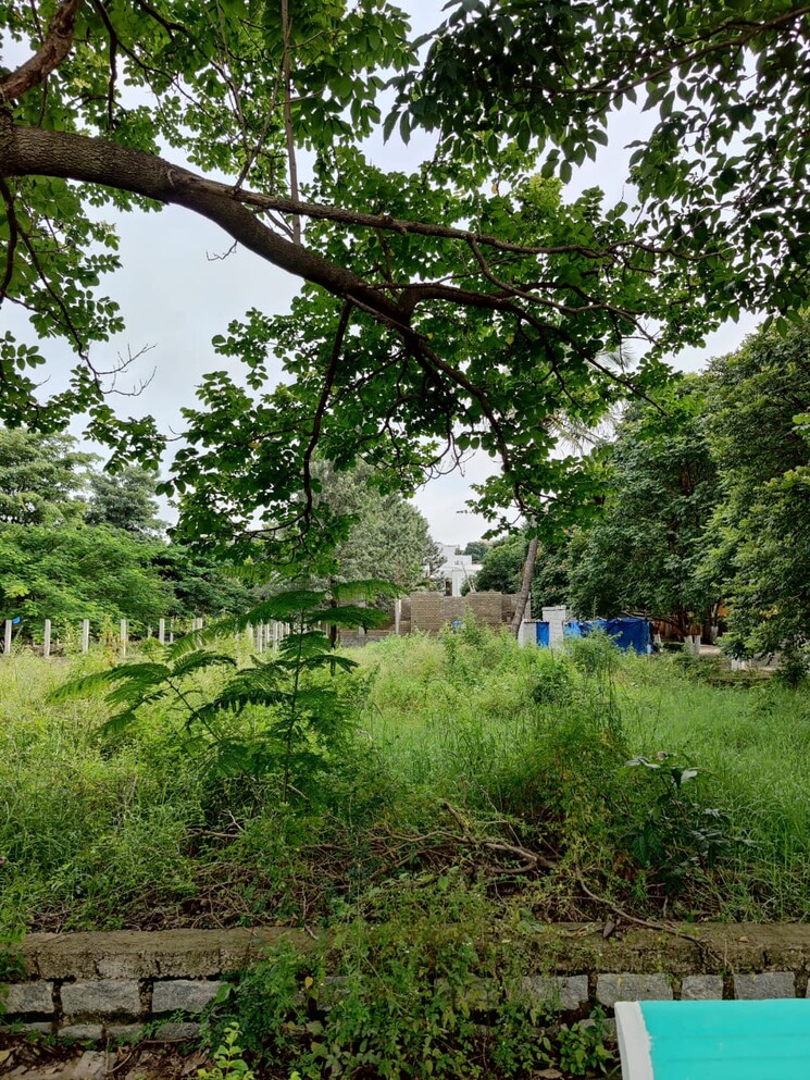 Garden, nirmal-nagar-layout  1200 Sq.Ft. Plot In Bukkasagara Bangalore 8430179