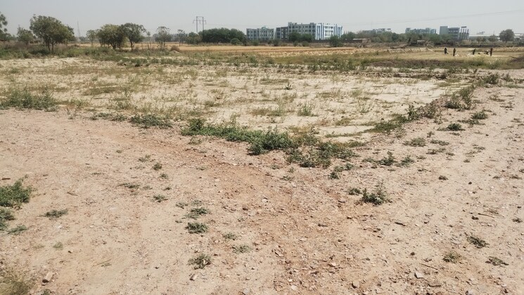 Exterior View, bamnikhera  190 Sq.Yd. Plot In Bamnikhera Palwal 8430856