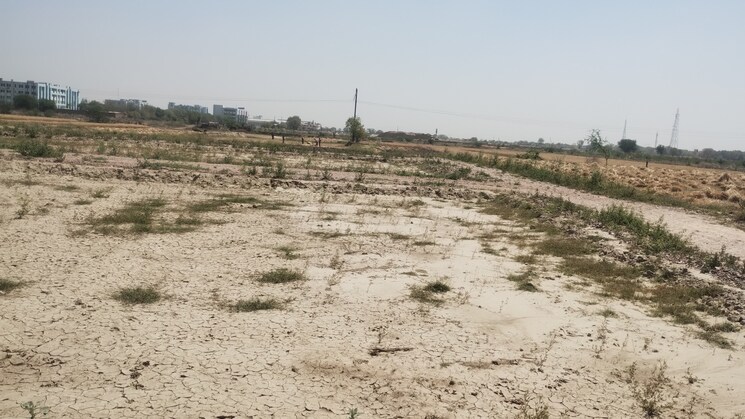 undefined, bamnikhera  190 Sq.Yd. Plot In Bamnikhera Palwal 8430856