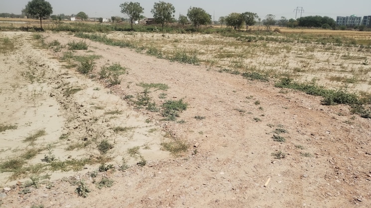 undefined, bamnikhera  190 Sq.Yd. Plot In Bamnikhera Palwal 8430856