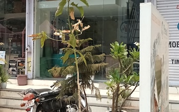 Shop For Rent in Lotus Aroma, Aundh Road
