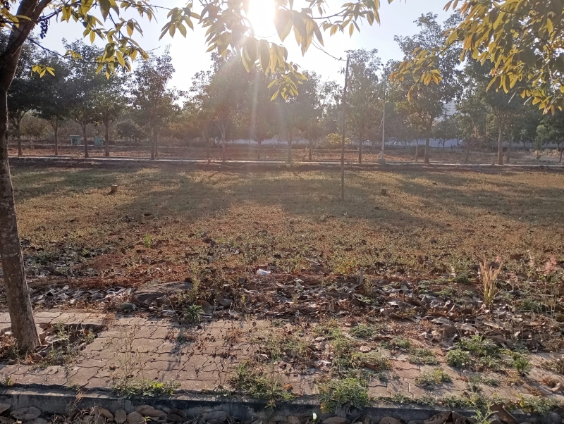 Plot For Sale in Subham 