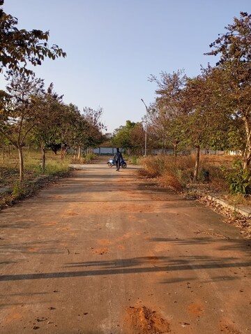 Plot Area in  Plot at Sampangi Rama Nagar – for Sale