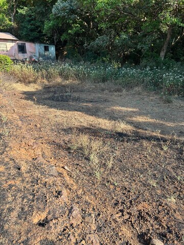 Plot Area in  Plot at Telibandha – for Sale