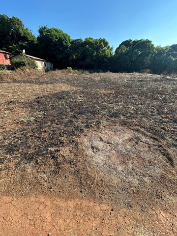 Plot Area in  Plot at Telibandha – for Sale