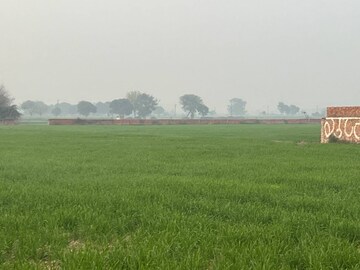 Plot Area in  Plot at Saddu – for Sale
