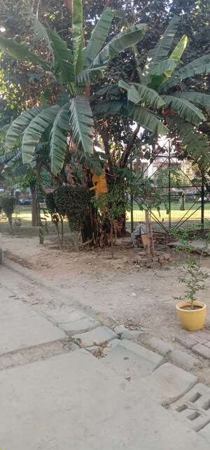 3 BHK Builder Floor – Exterior View View at Land Craft Golf Links Villa, Pandav Nagar - for Sale