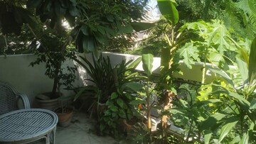 Balcony in 3 BHK Builder Floor at Safdarjang Enclave – for Rent