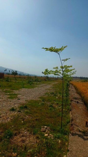 Plot Area in  Plot at Shimla Bypass Road – for Sale